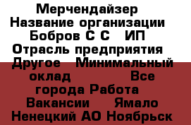 Мерчендайзер › Название организации ­ Бобров С.С., ИП › Отрасль предприятия ­ Другое › Минимальный оклад ­ 17 000 - Все города Работа » Вакансии   . Ямало-Ненецкий АО,Ноябрьск г.